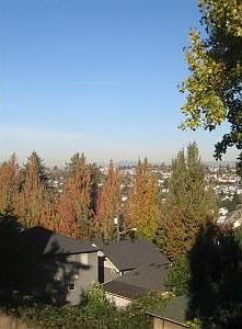 View East