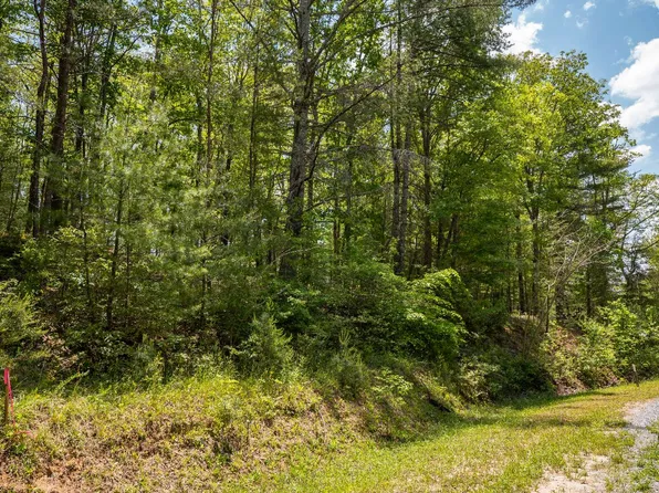 LOT 83 Old Toccoa Loop, Mineral Bluff, GA 30559