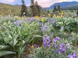 45 Kestrel Dr, Winthrop, WA 98862