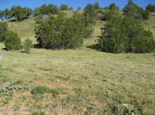 1431 Little Big Horn Rd, Alto, NM 88312