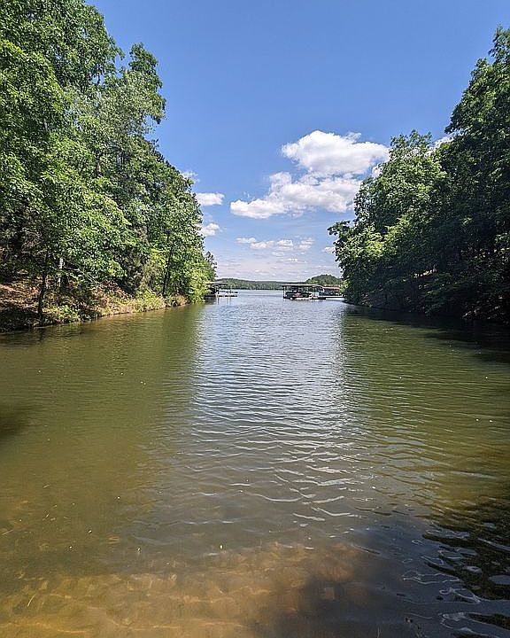 View from water's edge