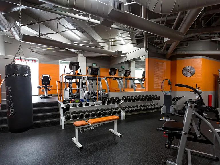 702 Ash St #1500 — Photo 31