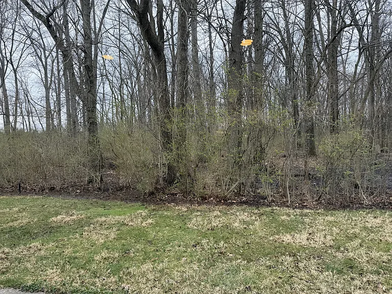 647 Pebble Place Dr #6 — Photo 12