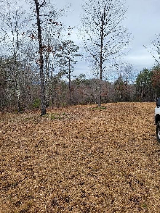 2nd image of 458 Gaddy Rd S
