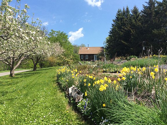 studio and veggie garden