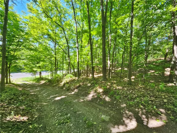 613 E Lake Rd Lot 9, Penn Yan, NY 14527