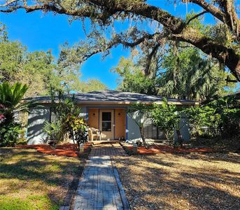317 W Comanche Ave, Tampa, FL, 33604