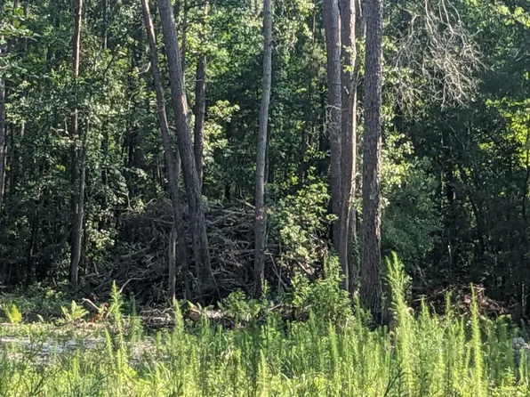 0 White Oak Drive, Burgaw, NC 28425