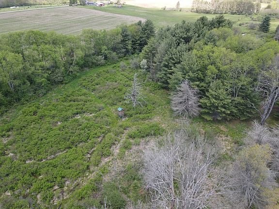 5th image of County Route 16 Lot Wp002