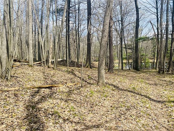 4th image of N6194 Goose Lake Road