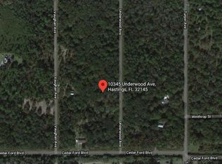10345 Underwood Ave, Hastings, FL 32145