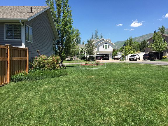 Side yard (our soccer field)