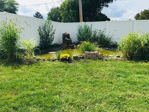 Pond with fish/turtle/frogs