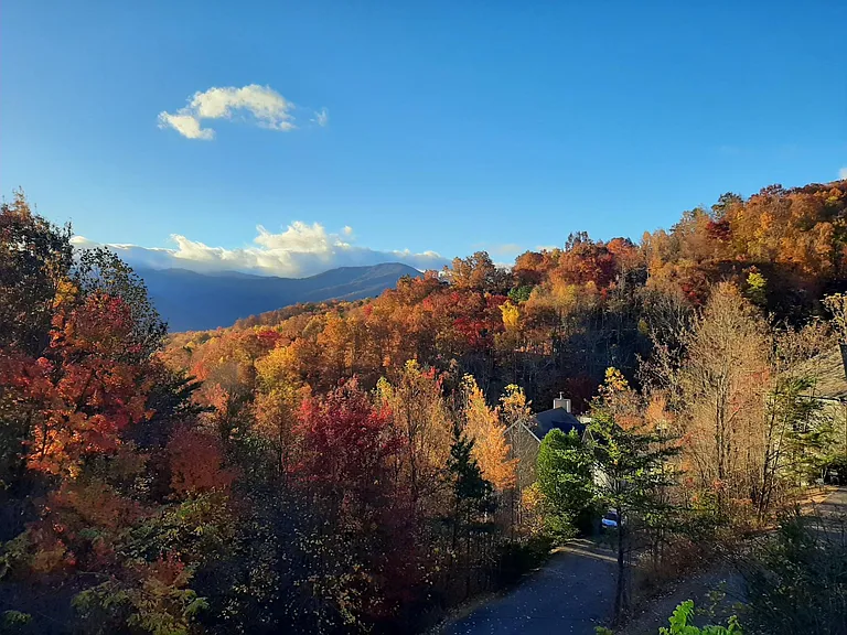 905 Smoky Bears Way — Photo 54