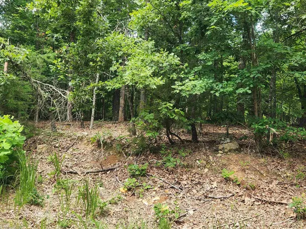 L 60 #B6, Cherokee Village, AR 72529