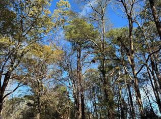 Wilson St, Society Hill, SC 29593