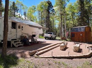 352 Rim Rd, Cimarron, CO 81220