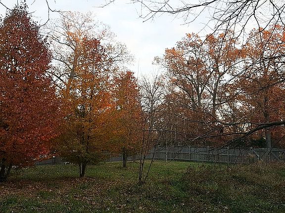 Top of the hill in Fall