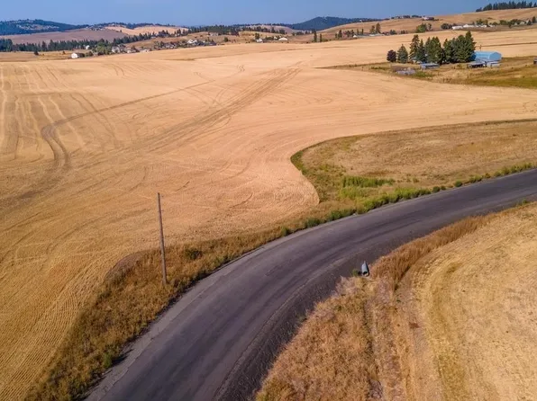 12902 S Jackson Rd, Mica, WA 99023