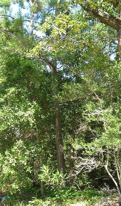 2nd image of 120 22 NW LOT L-35