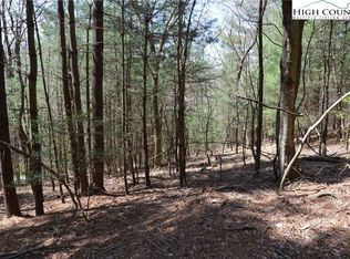 0 Bullhead Rd, Sparta, NC 28675