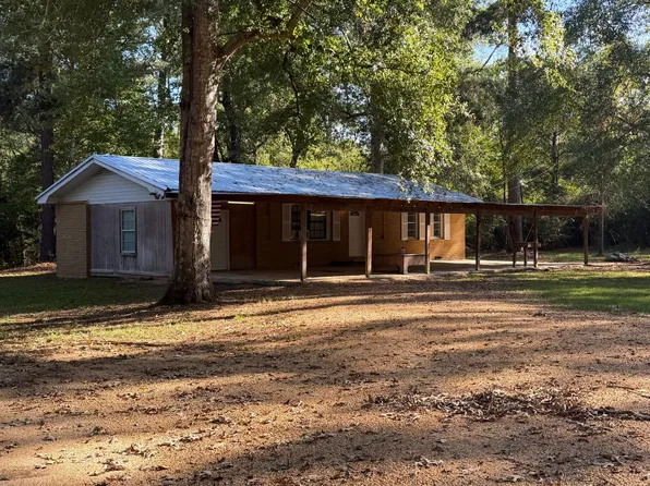 175 Arm Rd, Silver Creek, MS 39663