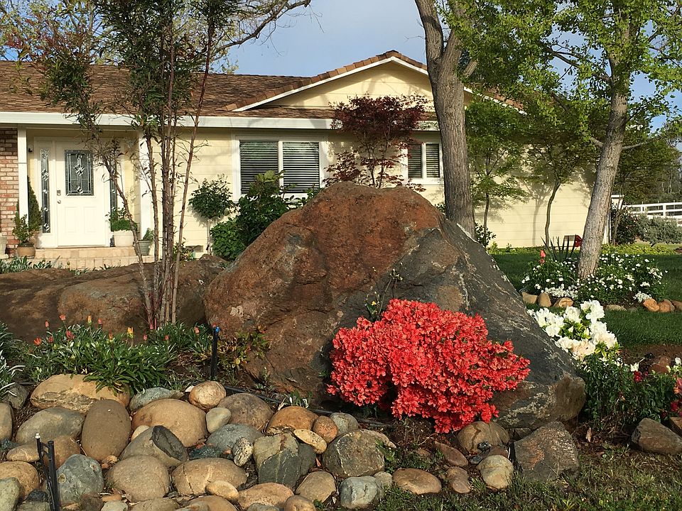 Tons of trees and flowers
