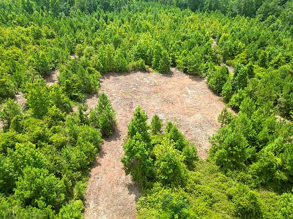 4th image of 2 County Road 1174