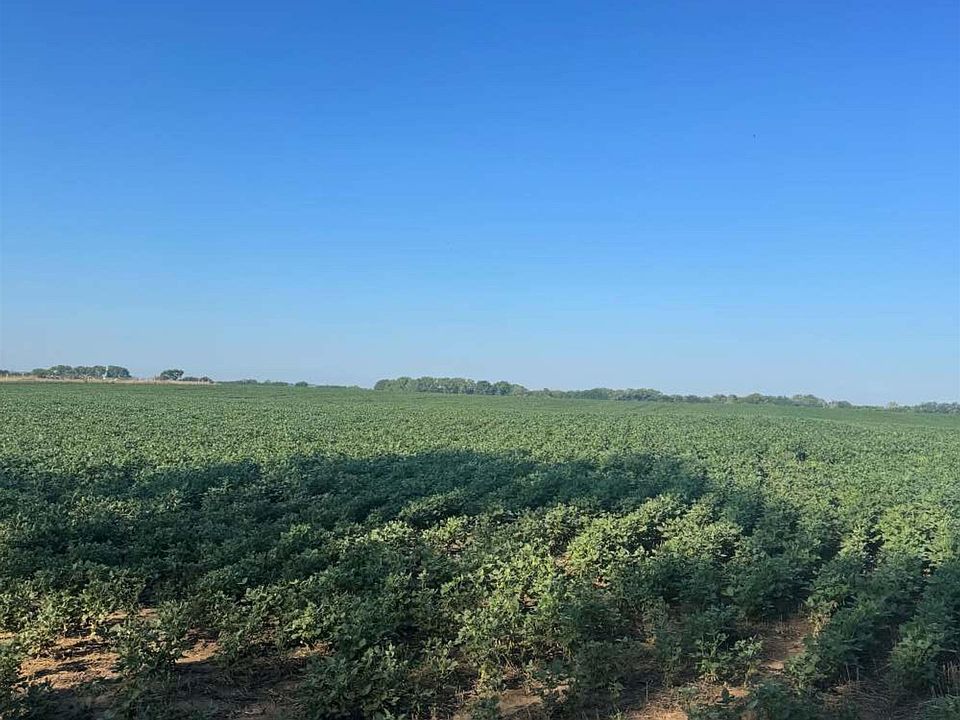 2nd image of On North Rd #210