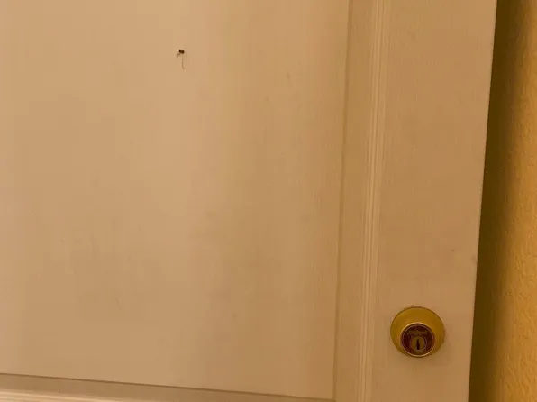 1538 E 35th Ave APT 2, Denver, CO 80205