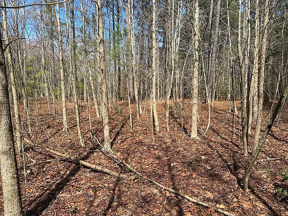 5th image of 0 E Hurleys Neck Rd