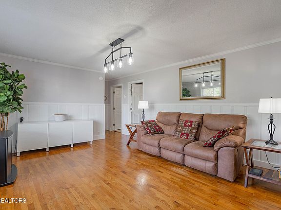 5th image of 11 Ervin St