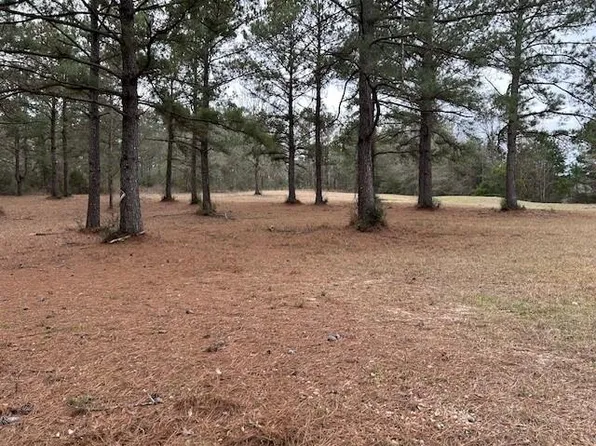 26585 Old Lake Rd, Mount Hermon, LA 70450