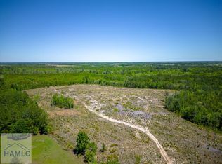 TRACT 1 Scuffletown Rd, Bristol, GA 31518