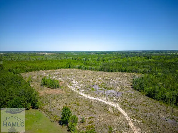TRACT 2 Scuffletown Rd, Bristol, GA 31518
