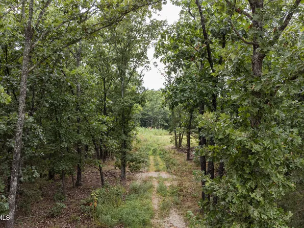 Peterson Rd, Bland, MO 65014
