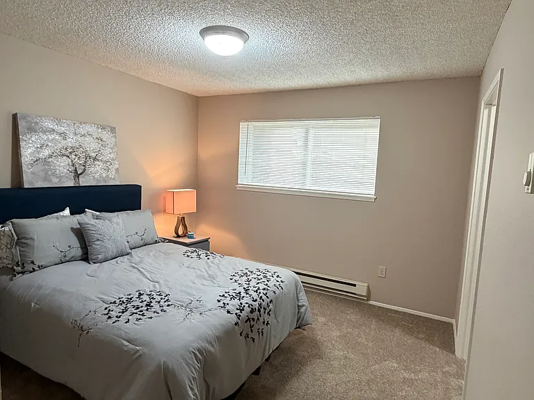Willow Terrace — Photo 8
