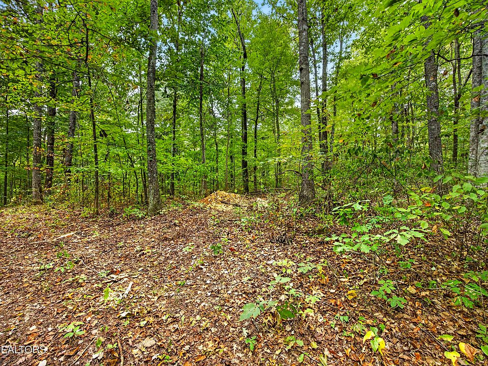 1st image of 22 Timber Ridge Ln