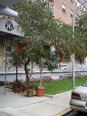 1st image of 185 Park Row APT 13D