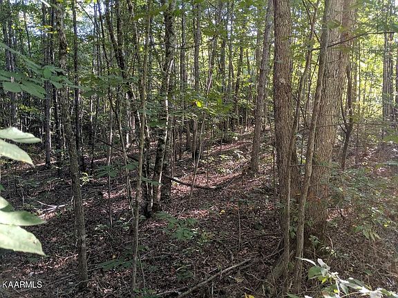 2nd image of Hilltop Ln