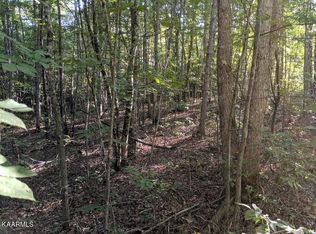 Cravenstown Rd, Wilder, TN 38589