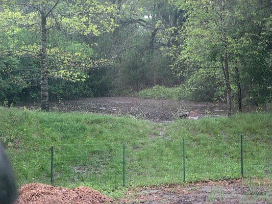 Pond view from back porch
