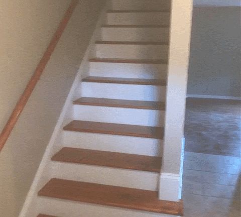 3rd image of 352 High St APT 1