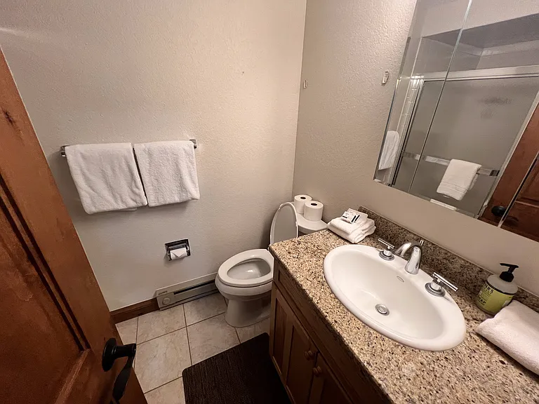 Lower level bathroom