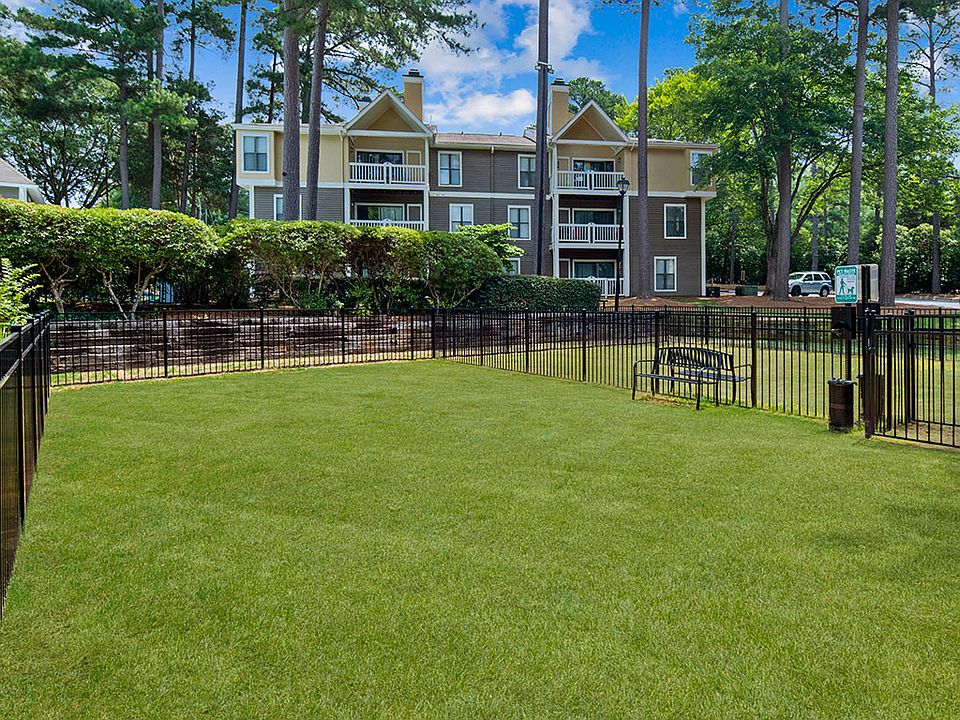 Open spaces at the dog park