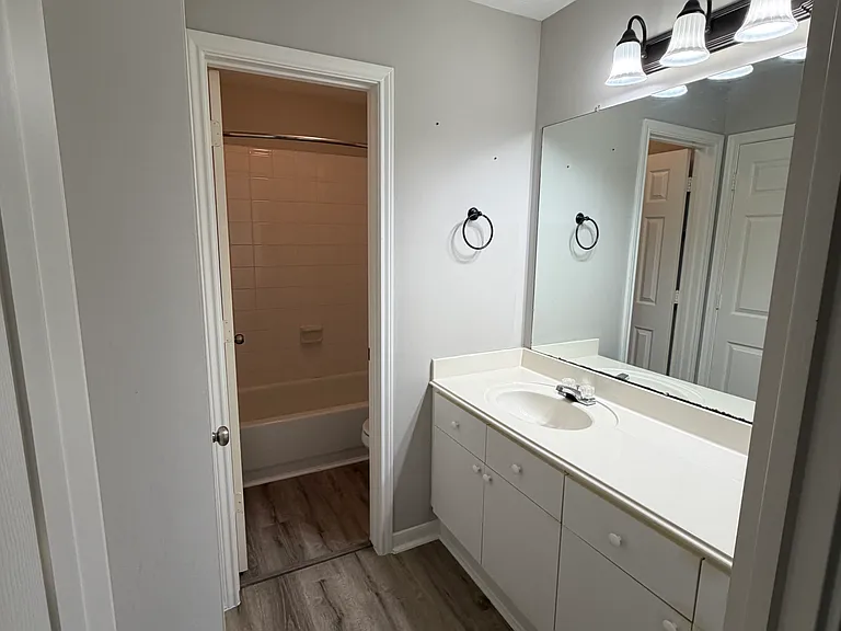 6238 Dove Fern Ct — Photo 18