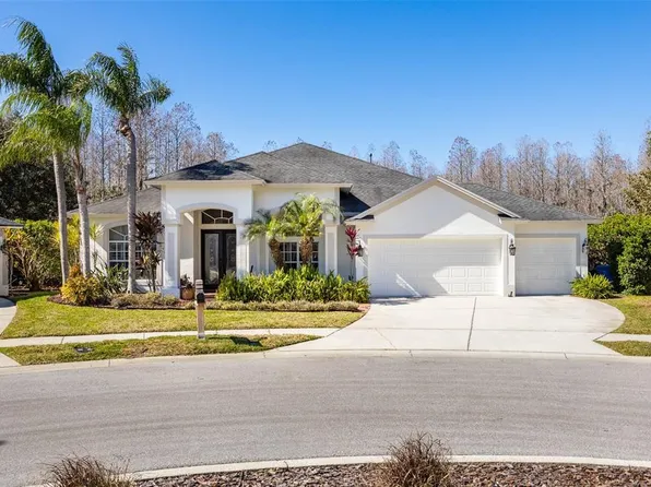 19817 Glazing Globe Ln, Lutz, FL 33558