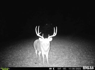 0 Grand Pierre Dr, Golconda, IL 62938