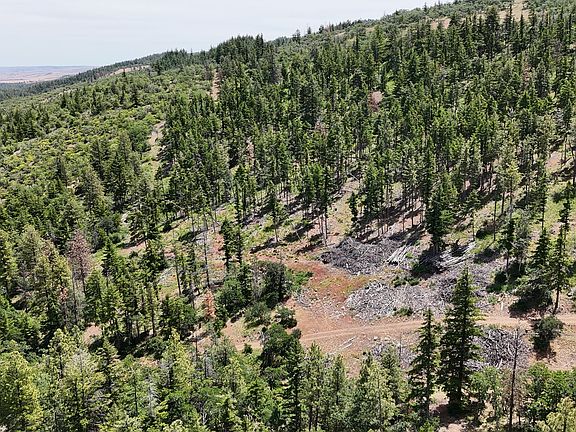 5th image of 0 Kelly Springs Rd