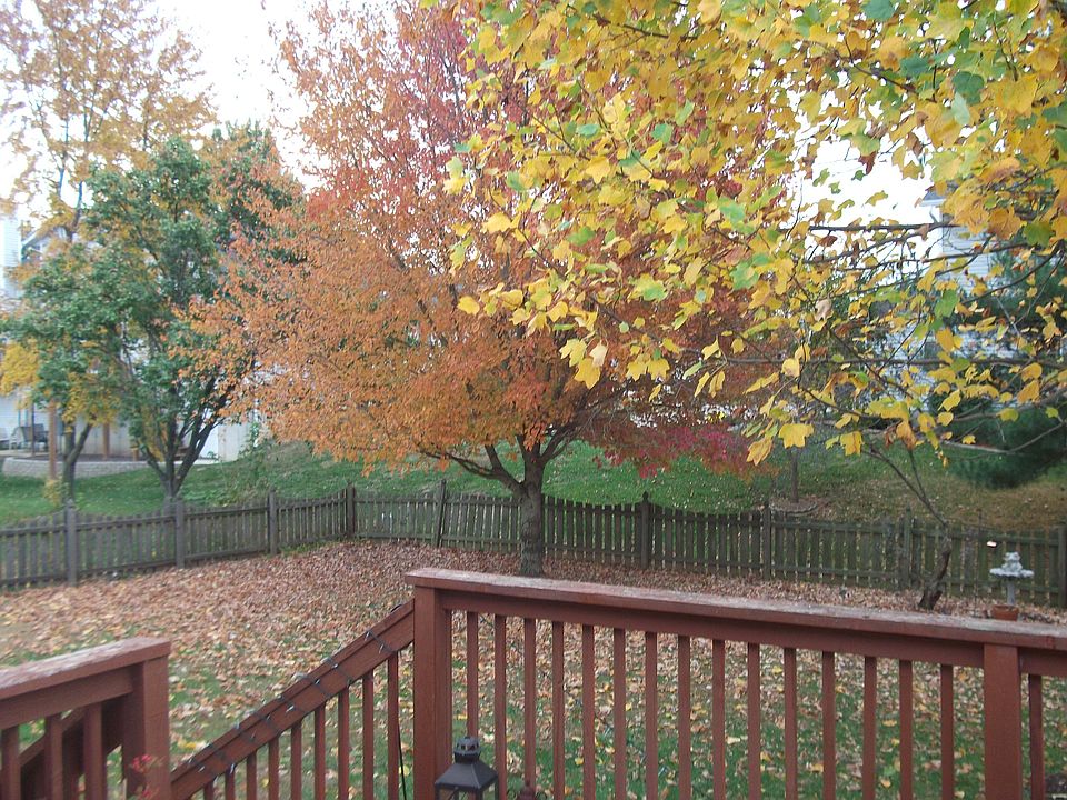 Backyard View